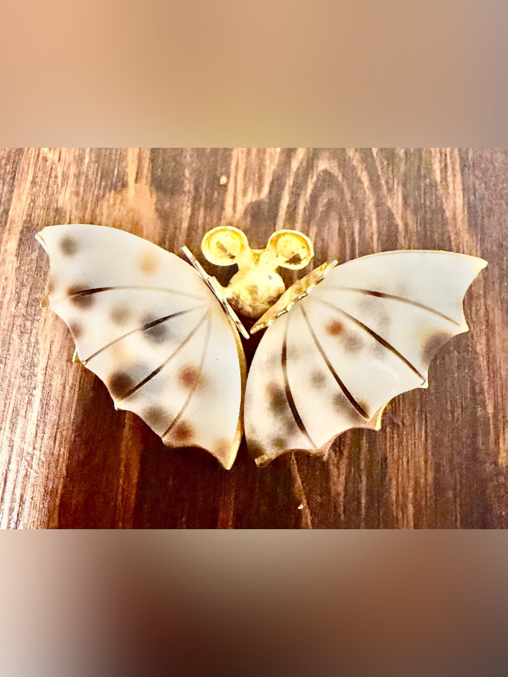 Vintage shell butterfly goldtone brooch, shell butterfly pin